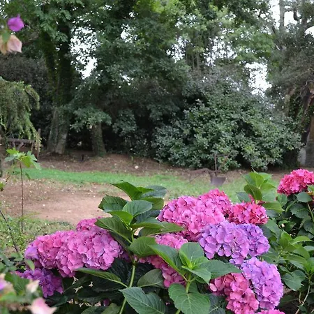 Bed & Breakfast Maison Et Charme Aggius
