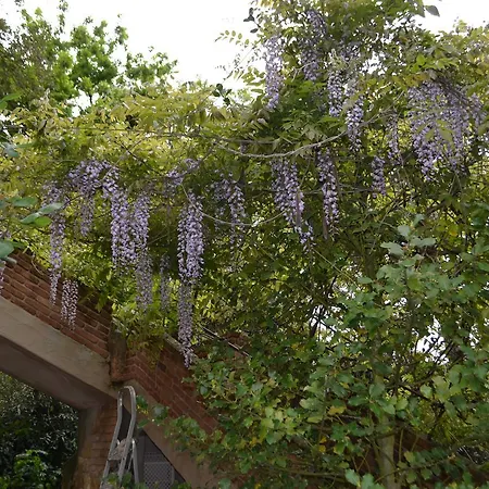 Maison Et Charme
