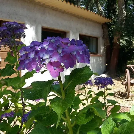 Maison Et Charme * Aggius